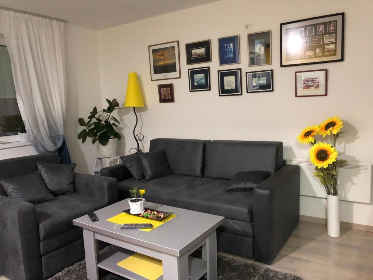 Apartament Sunce Kruševac Zewnętrze zdjęcie